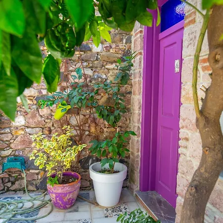 Cunda Mor Limon 3* Айвалык