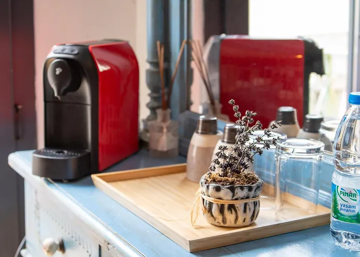 Cunda Mor Limon Bed and breakfast Ayvalı