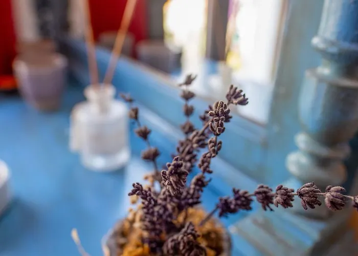 Cunda Mor Limon Ayvalı